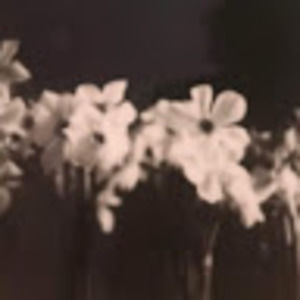 Meet your Posher, Gwen